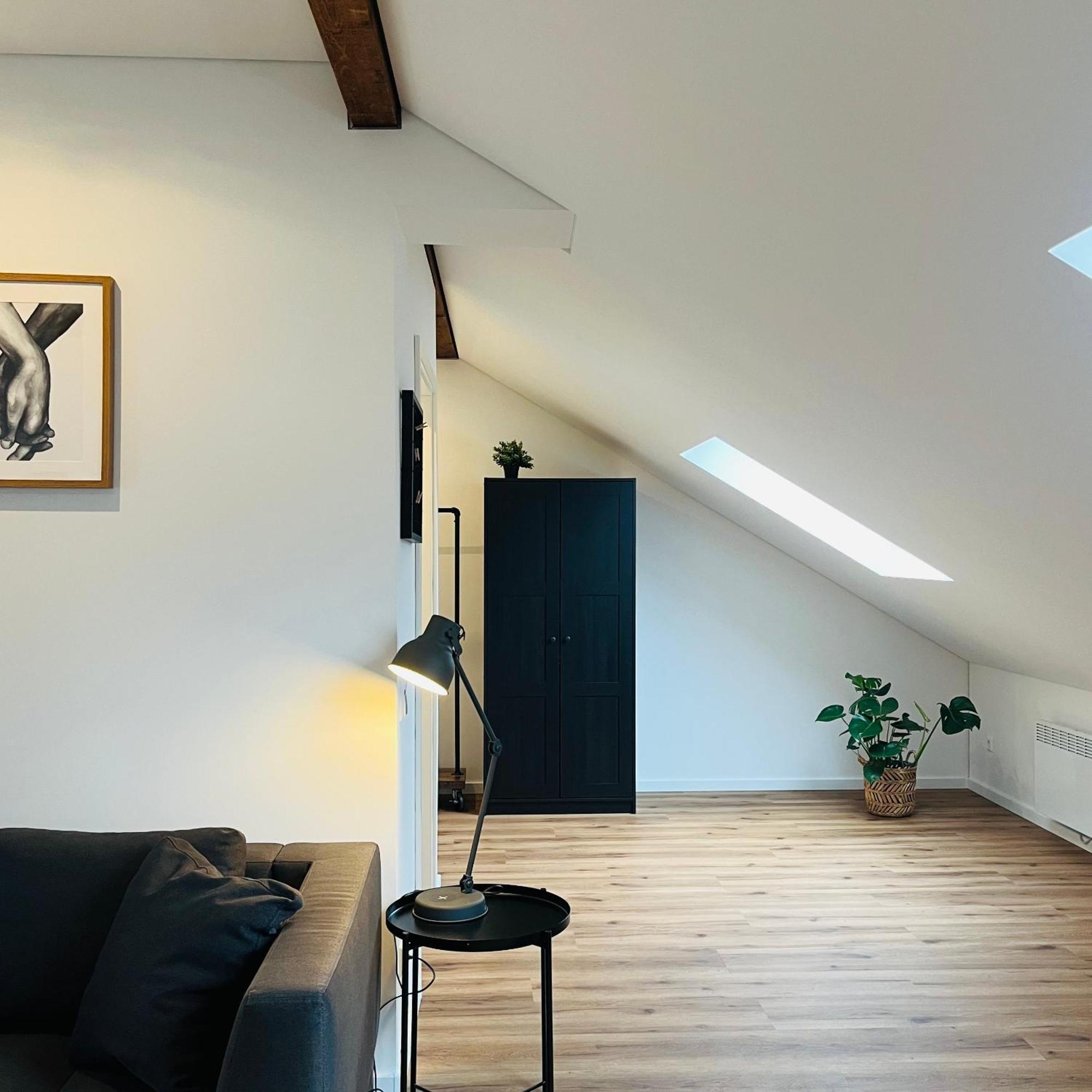 City Loft Apartment Bad Saeckingen ภายนอก รูปภาพ